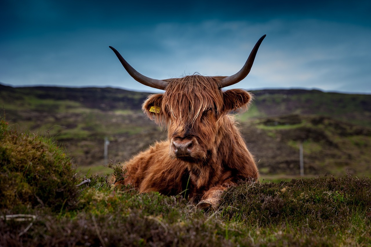 Scottish Highlands landscape – Loch Ness adventure